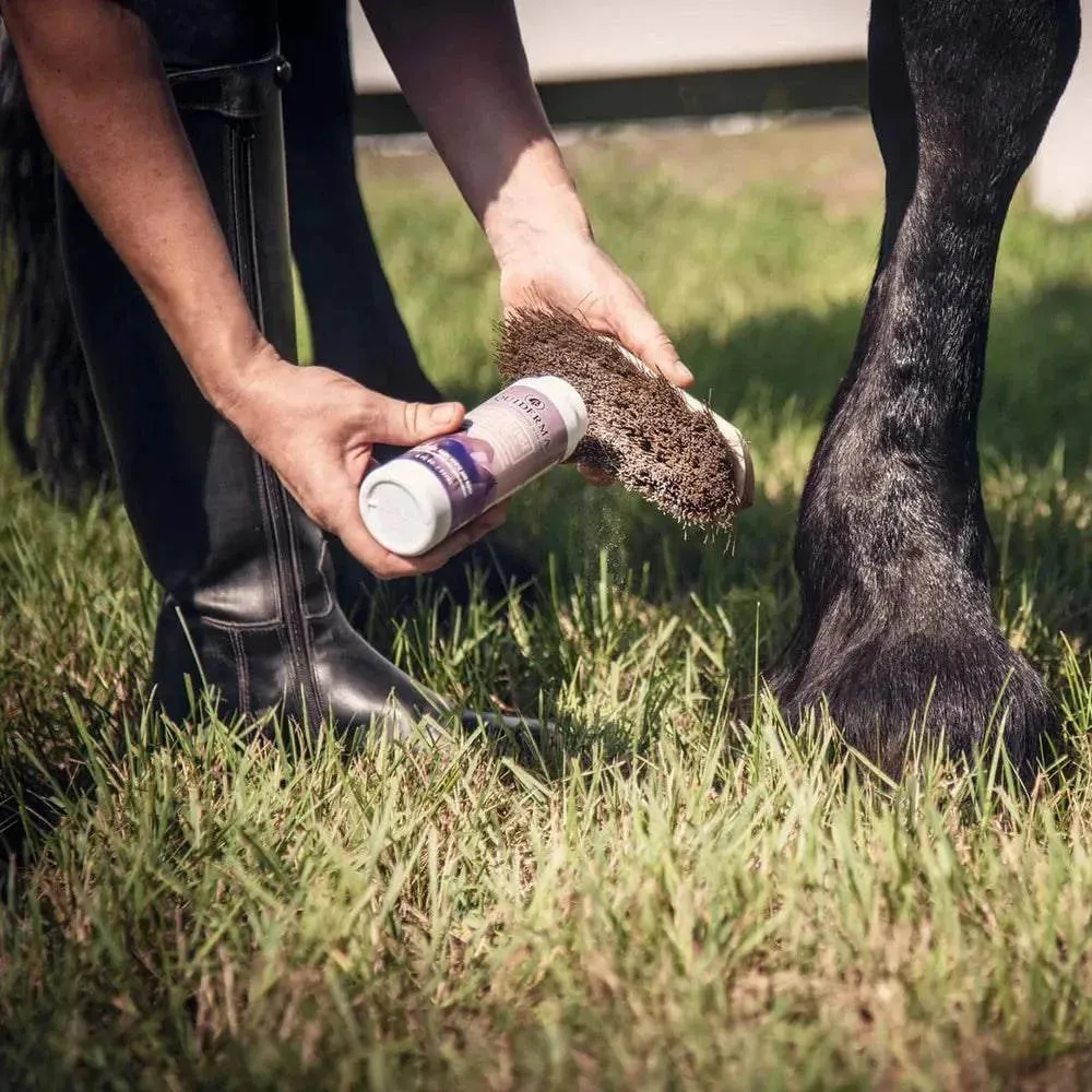 Equiderma Daily Defense Dry Shampoo