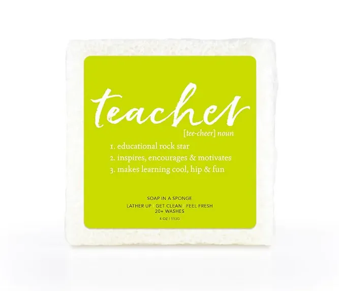 Teacher Soap Sponge